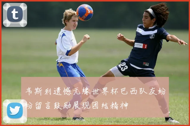 韦斯利遗憾无缘世界杯巴西队友纷纷留言鼓励展现团结精神