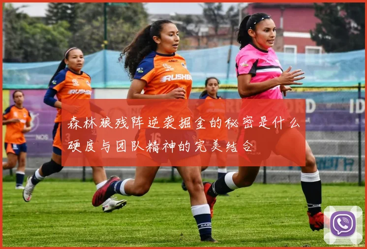 森林狼残阵逆袭掘金的秘密是什么硬度与团队精神的完美结合